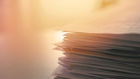 Court papers