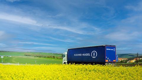 kntruckyellowfield1